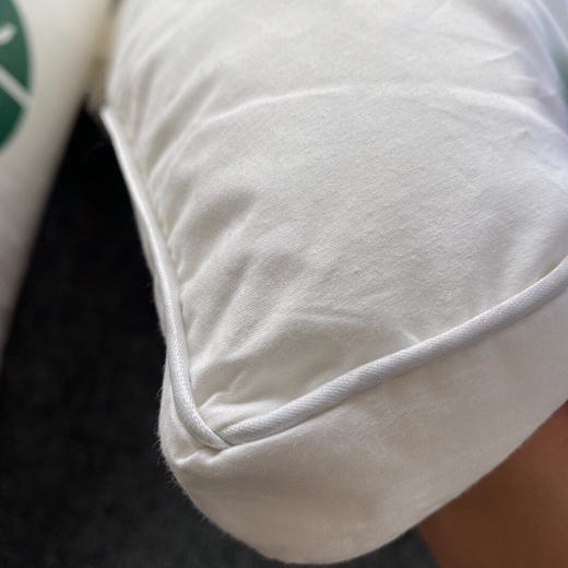 LHX4858 日本1899酒店枕芯 商品图4