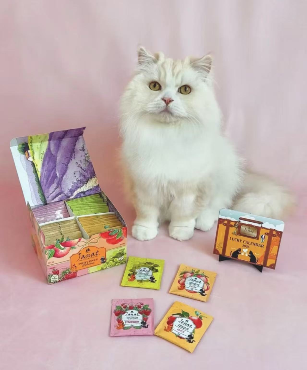 Janat法式水果风味红茶  4口味混合装（苹果+蜜桃+葡萄+草莓） 包装全新升级 斯里兰卡进口红茶 茶包40袋