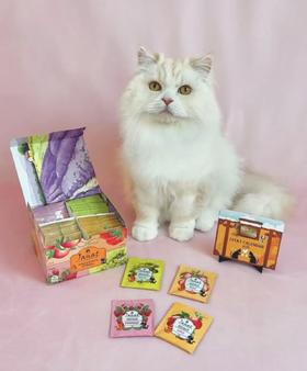 Janat法式水果风味红茶  4口味混合装（苹果+蜜桃+葡萄+草莓） 包装全新升级 斯里兰卡进口红茶 茶包40袋