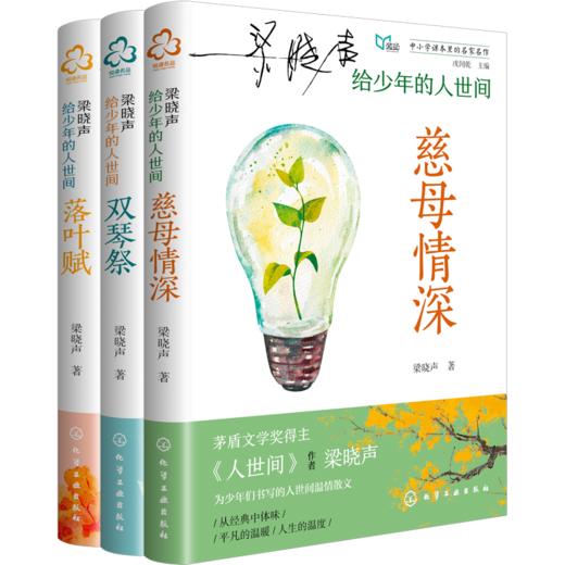 【社群版】梁晓声给少年的人世间多规格 商品图4