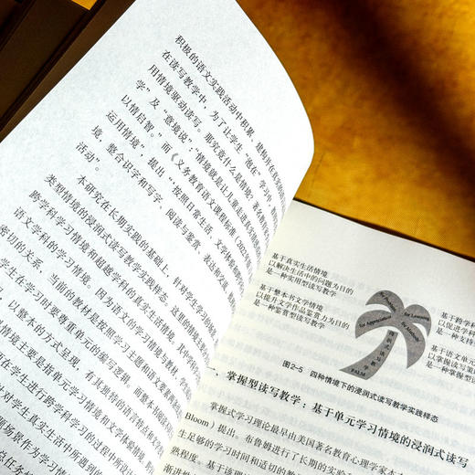 浸润式读写的理论与实践 蒋方叶 小学语文教学 阅读与写作 商品图10