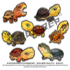 冰箱贴 龟主题⑦ 磁吸 Q版 卡通 国龟闭壳龟黄缘金头百色 爬宠爬虫周边 super rep超爬正版【48小时发货】