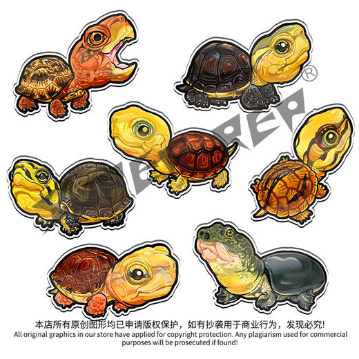 冰箱贴 龟主题⑦ 磁吸 Q版 卡通 国龟闭壳龟黄缘金头百色 爬宠爬虫周边 super rep超爬正版【48小时发货】 商品图0