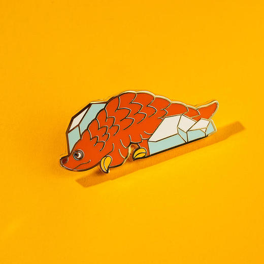 南周文创-标本系列 徽章礼盒 商品图5