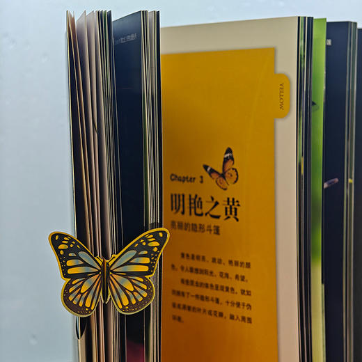 《昆虫印象》⭐rlyl推荐，张亮老师推荐 广东80余种昆虫自然影像【官方正版】-分销 商品图3