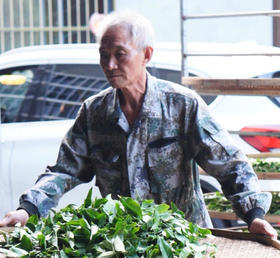 【广诚行匠人】祝集荣，武夷山制茶奇人
