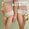 babycare【安心灭菌】山茶花一次性内裤女孕产妇免洗日抛月子待产出差旅行 商品缩略图1