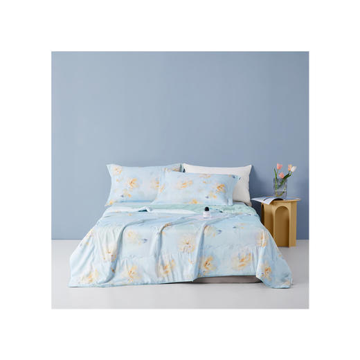 博洋家纺博洋夏凉被—晕染玫瑰150*210cm （YI）W924132203128 商品图1