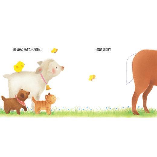 《小鸡球球触感玩具书》（全5册） 商品图12