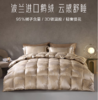 罗莱家纺轻奢提花波兰进口95白鹅绒冬被二合一被 二合一被 200cm*230cm 商品缩略图0
