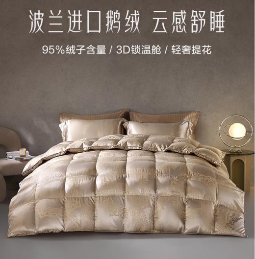罗莱家纺轻奢提花波兰进口95白鹅绒冬被二合一被 二合一被 200cm*230cm 商品图0