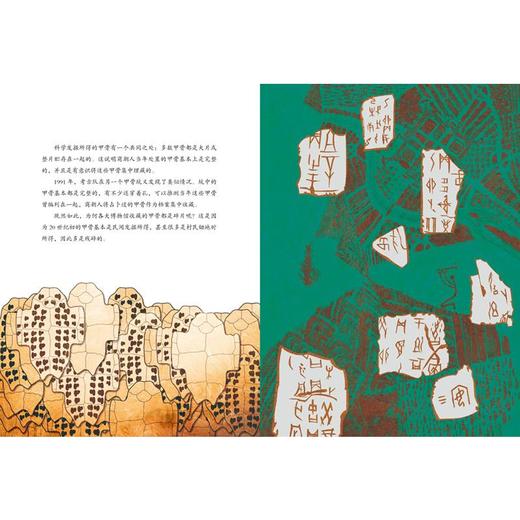 发现殷墟甲骨文 商品图3