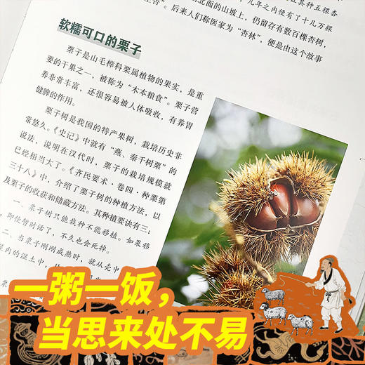 少儿万有文库系列新全19册任选 满3册送帆布袋+儿童文学书 人体简史（少儿彩绘版）比尔·布莱森又一部精彩简史 商品图10