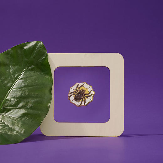 南周文创-标本系列 徽章礼盒 商品图3