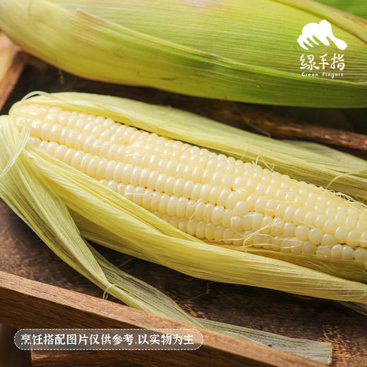 生态山西白糯玉米| 合作生产*Ecological white glutinous corn| Partner Production 商品图2