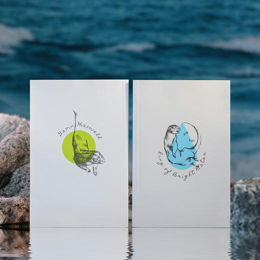 闪亮的水环 | 苏格兰小屋十年幽居，水獭室友双生奇缘，畅销 200 万册自然文学经典，改编电影笑中带泪。罗伯特・麦克法伦推荐 商品图5