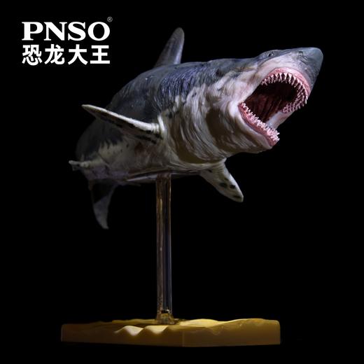PNSO恐龙大王成长陪伴模型10巨齿鲨巴顿 商品图3