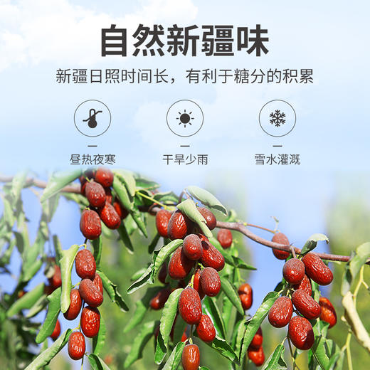 【方家铺子去核灰枣】1kg*1袋 个大皮薄 肉厚无核 只吃枣不吐核 香甜可口 商品图8