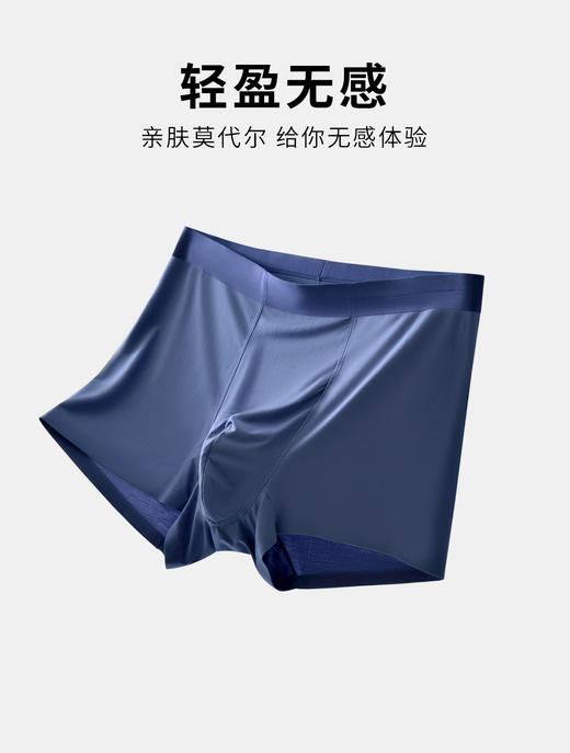 新款男士无痕100s莫代尔平角内裤10A级抑菌亲肤舒适3059 商品图4