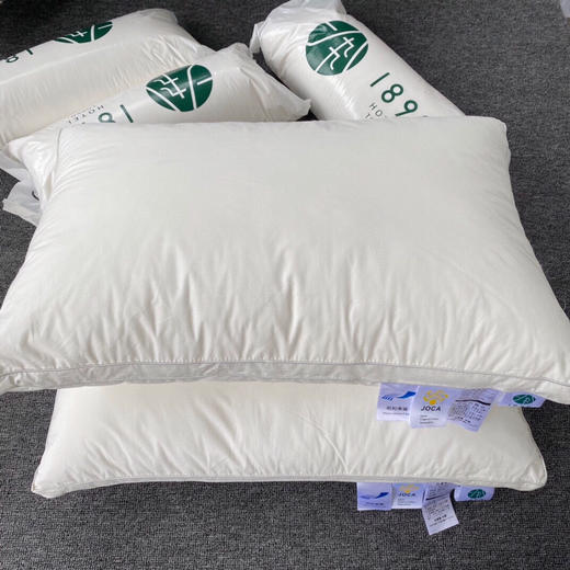 LHX4858 日本1899酒店枕芯 商品图1