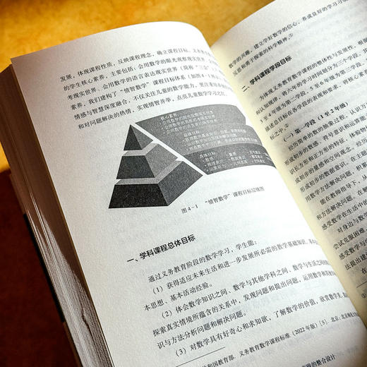 学科课程与学科实践的整合设计 王凤芳 八个特色学科课程群 小学案例 商品图11