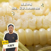 生态山西白糯玉米| 合作生产*Ecological white glutinous corn| Partner Production 商品缩略图0