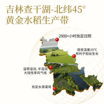 花中花 吉林御珍香米 10斤 东北大米 长粒珍珠米香米 10斤真空装 /粮油调味 /米 /其他大米 商品图5