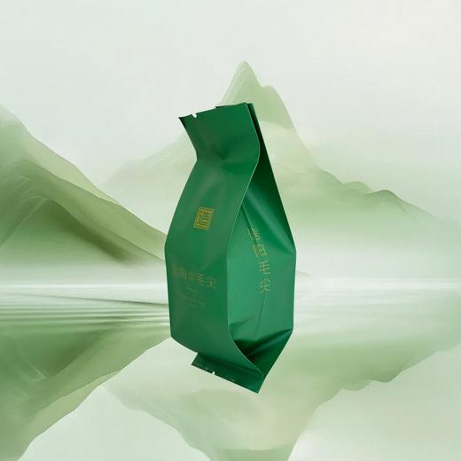 注意容量：精造【绿.50g毛尖】铝箔袋.15元1把.购买20把起包邮.1把100个 商品图3