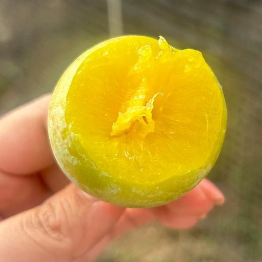 新鲜水果 肉厚核小金丝蜜李子  500g 商品图2