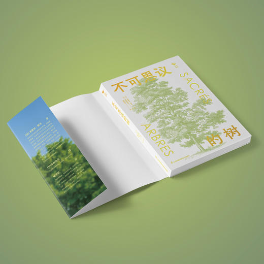 《不可思议的树》-分销 商品图6