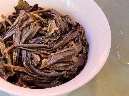 2024春 桐野仙踪  桐木关Guo家森林公园  荒野老枞水仙 50克起 商品图6