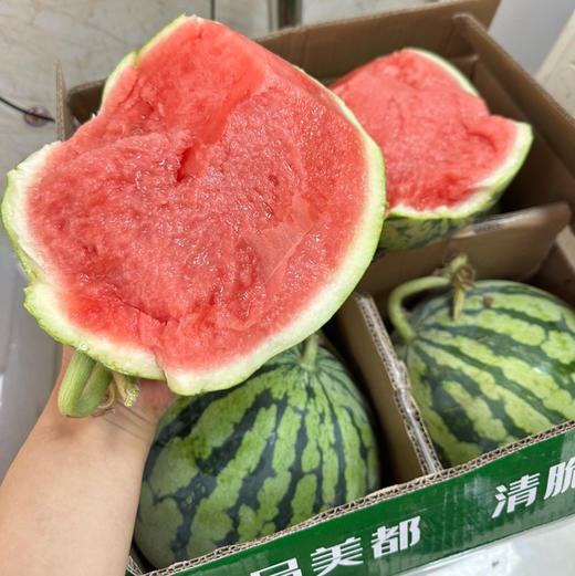 脆甜麒麟西瓜，2号箱 商品图12
