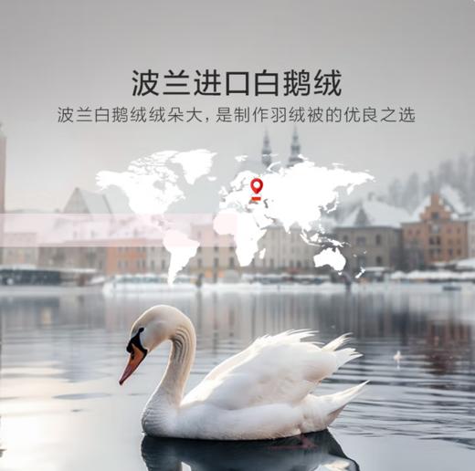 罗莱家纺轻奢提花波兰进口95白鹅绒冬被二合一被 二合一被 200cm*230cm 商品图5