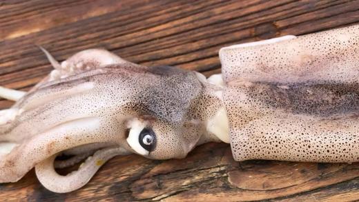 【顺丰包邮】无保水剂品质深海鱿鱼（去内脏）无浸泡无冰衣保持原色肉特别厚实而且弹性很好京东干冰发货基地直邮 商品图4