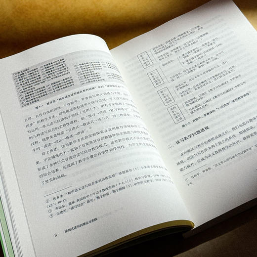 浸润式读写的理论与实践 蒋方叶 小学语文教学 阅读与写作 商品图8