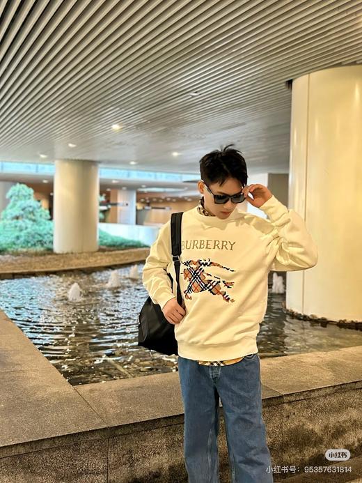 B家 25秋冬新款十字刺绣大战马圆领卫衣 Z-15546 商品图1