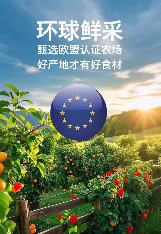 禾泱泱草莓紫胡萝卜香蕉苹果/葡萄樱桃/凤梨椰子/西梅/覆盆子蓝莓/牛油果/樱桃/桃桃 猕猴桃梨子泥/HYY-170039/170305/170046/170/170398077/170329 商品图12