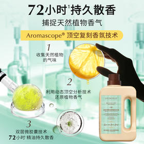 【夏日系列】绽家香氛洗衣液1700ml家用护色持久留香72小时