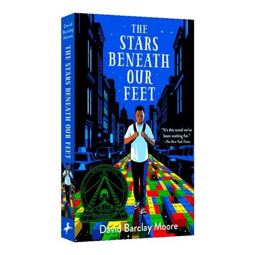 我们脚下的行星 英文原版小说 The Stars Beneath Our Feet 纽约时报年度童书 青少年英语课外阅读书籍 英文版原版儿童文学书 商品图1