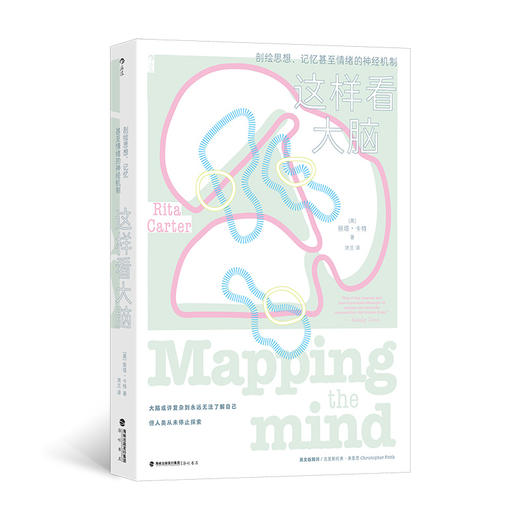 这样看大脑 深入认知疆野，窥见大脑秘密 商品图0