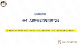 007  太阳病的三阴三阳气病