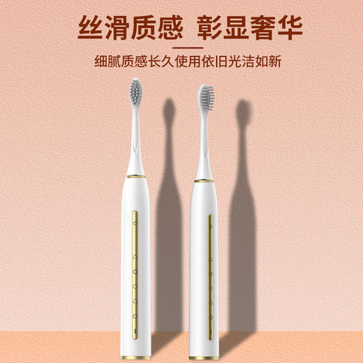 Blue Flash敦煌秘境系列声波电动牙刷BM-YS23 商品图2