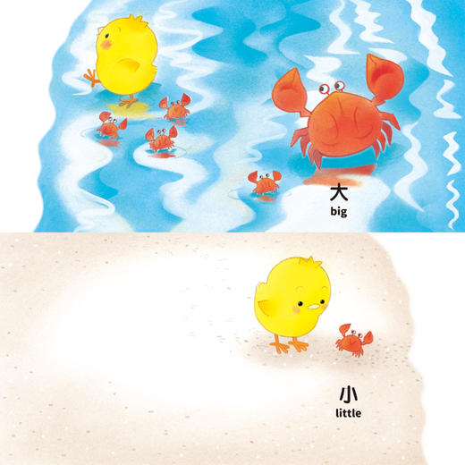 《小鸡球球洞洞认知书》（全4册） 商品图7