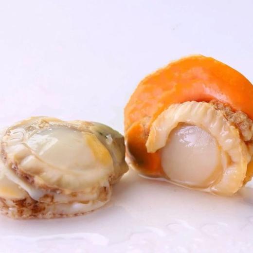 【奕虹精选-长岛红贝扇贝】长岛红贝高蛋白、低脂肪，肥厚鲜美，健康美味，随手一做就是大餐，肉质鲜美美味，没有任何的添加。不泡yao、不泡水、不挂冰，无泥无沙 商品图4