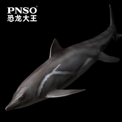 PNSO关岭鱼龙渊鳞恐龙大王成长陪伴模型92 商品图4