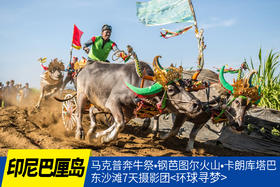 8.23确定出发【印尼巴厘】马克普奔牛祭•钢芭图尔火山•卡朗库塔巴东沙滩7天摄影团<环球寻梦>
