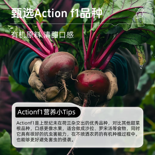 【买4赠1】草牧里 有机甜菜根粉 5g*15条/盒 0农残更安心 商品图2