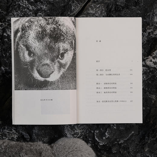 闪亮的水环 | 苏格兰小屋十年幽居，水獭室友双生奇缘，畅销 200 万册自然文学经典，改编电影笑中带泪。罗伯特・麦克法伦推荐 商品图7