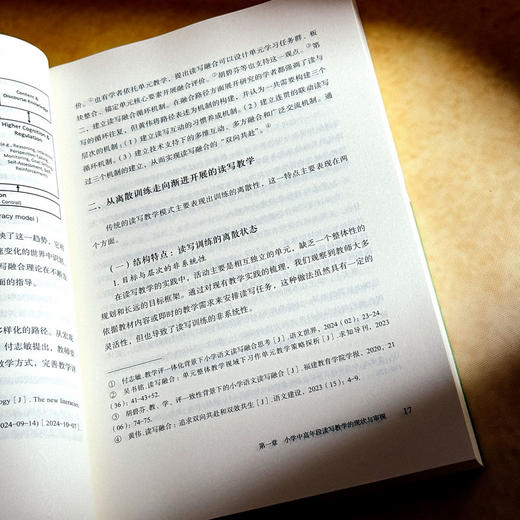 浸润式读写的理论与实践 蒋方叶 小学语文教学 阅读与写作 商品图9