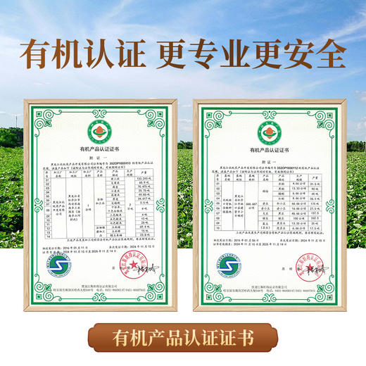 道地五谷杂粮礼盒3.85kg/盒 商品图5